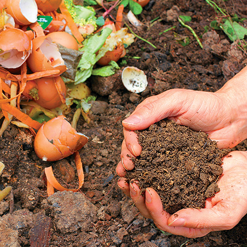 Photo: compost.