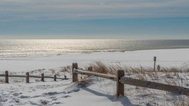 Photo of Rutgers to Lead $16 Million in Climate Projects Along New Jersey Coast