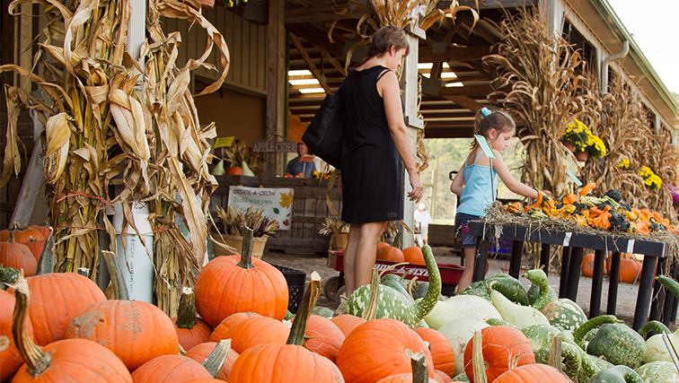 Photo of Agritourism: Fall Season Offers Bountiful Reasons to Visit a Farm