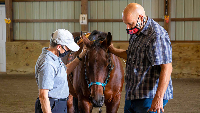 Photo of Rutgers Equine Research Aids Veterans with PTSD