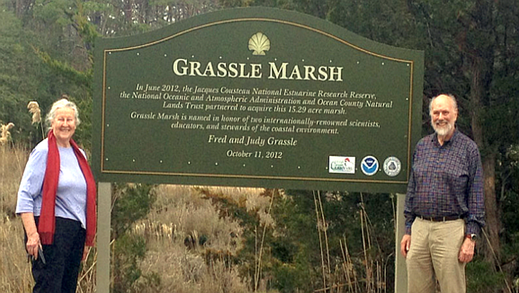 Photo of The Grassle Marsh Trail – A Treasured Place in the Heart of South Jersey