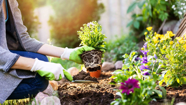 Photo of Science-based Horticulture Advice from Rutgers Experts is a Phone Call Away