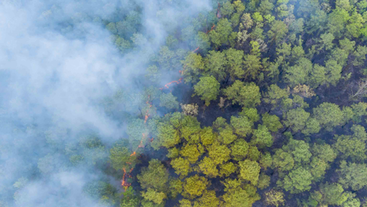 Photo of Rising Temperatures and Poor Air Quality Signal Future Impacts