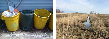 containers in an urban backyard (left) and salt marsh (right)