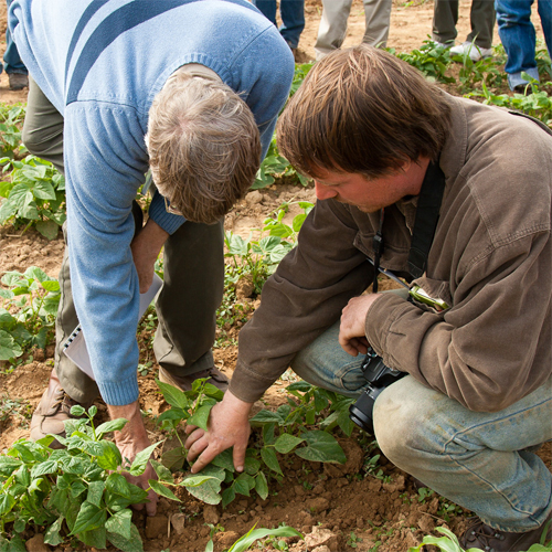 Photo: Alternative weed training, two people inspecting a young plant.