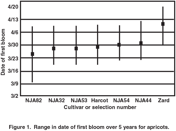 Chart showing date of first bloom vs. cultivar or selection number.
