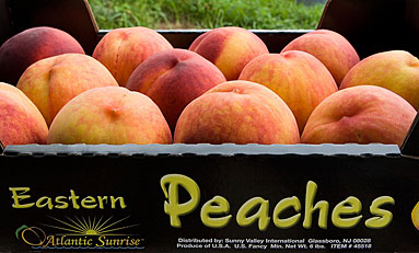 Photo of peaches.