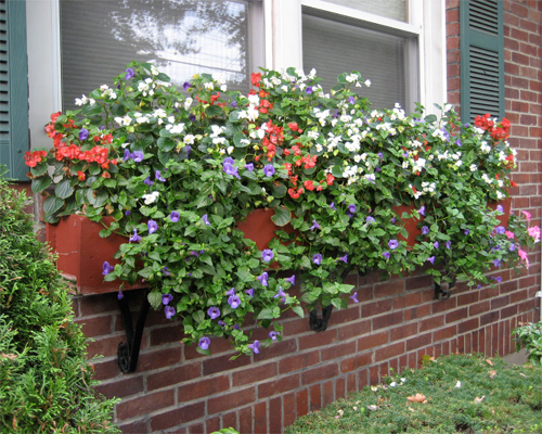 Photo: Hanging flower bed.