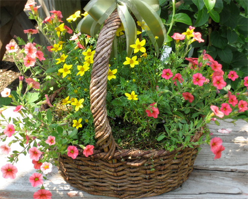Photo: Basket with mixed flowers.