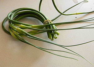 Softneck garlic bulbs. (Source: leonnaturallyfastfood.com)