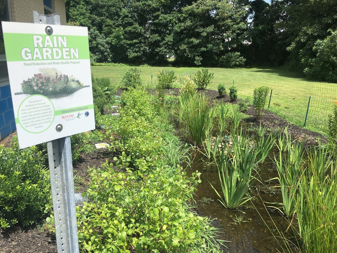 Rain Garden – Rutgers Gardens