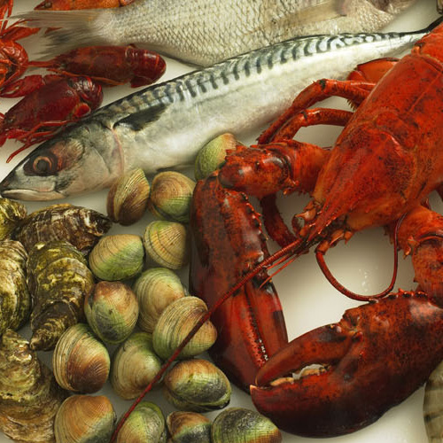 Photo: seafood including lobster.