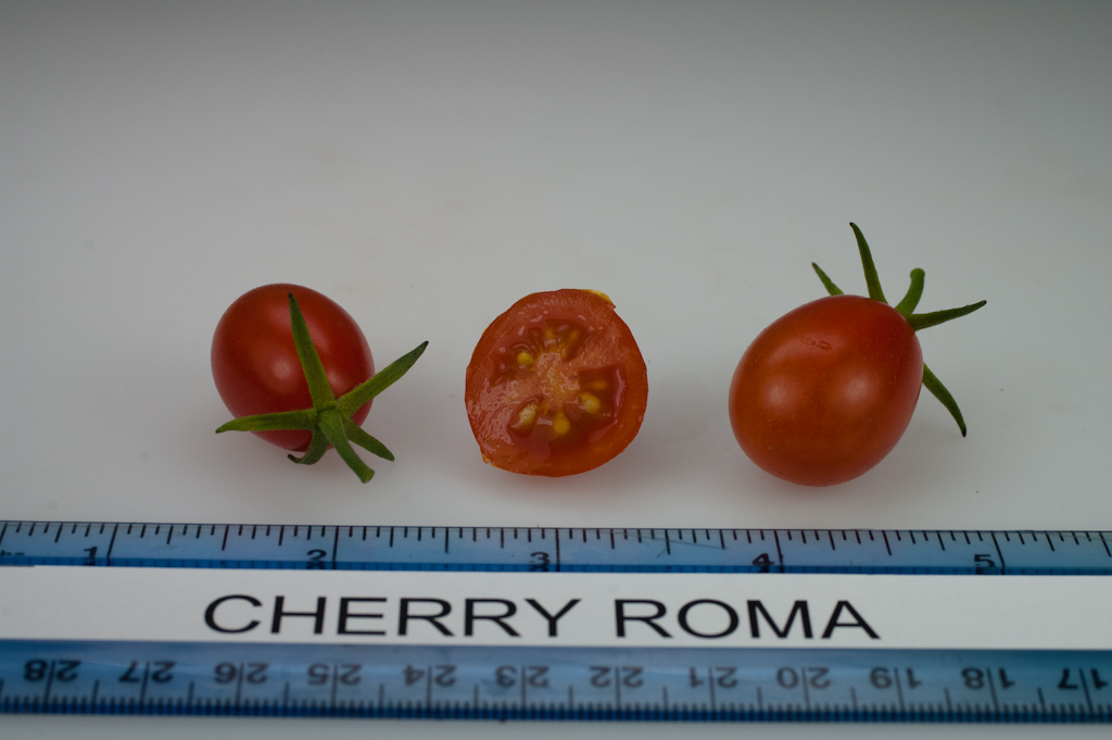 Photo: Cherry Roma.