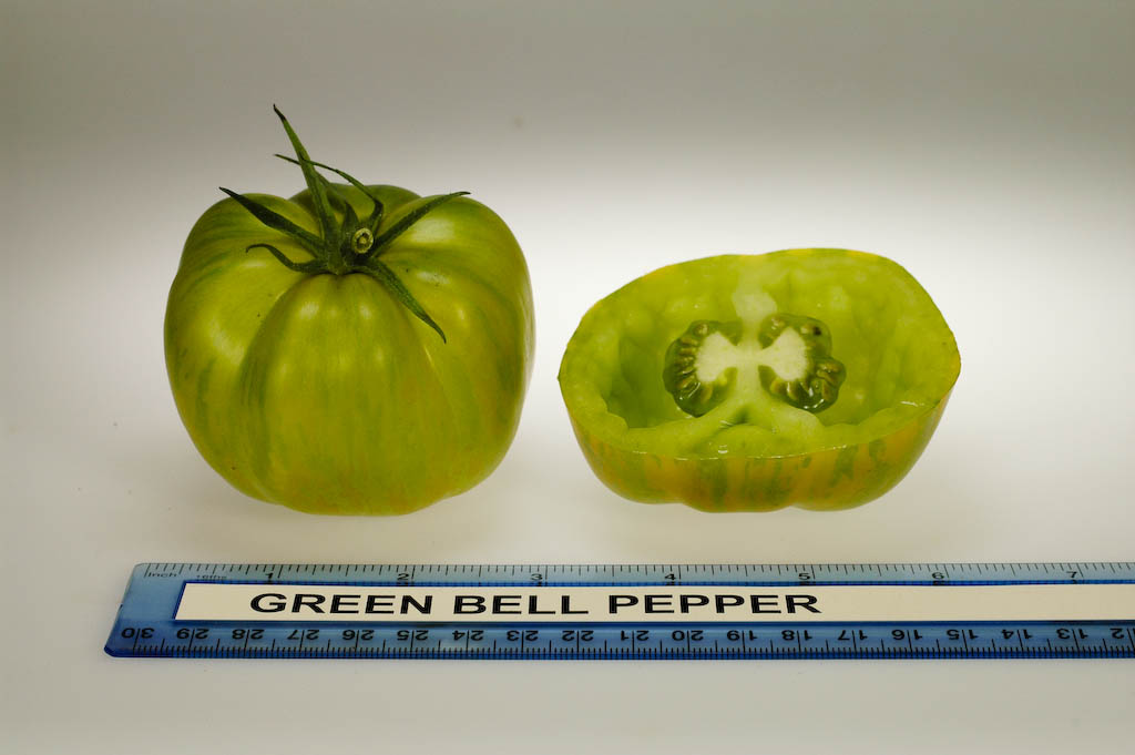 Photo: Green Bell Pepper.