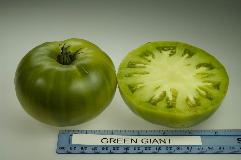 Photo: Green Giant.
