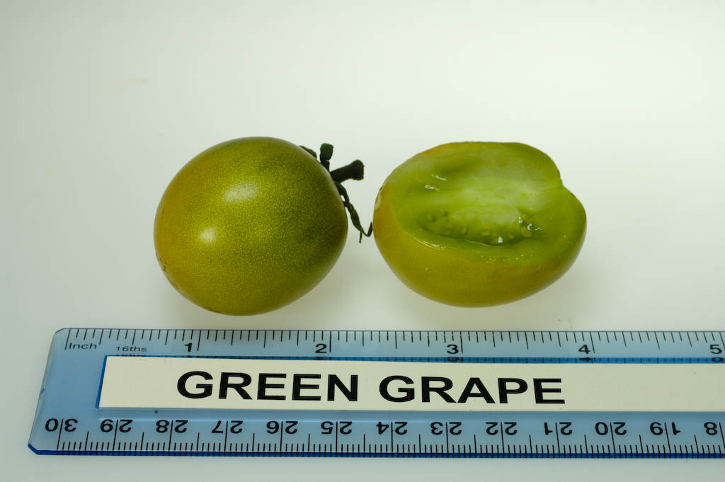 Photo: Green Grape.