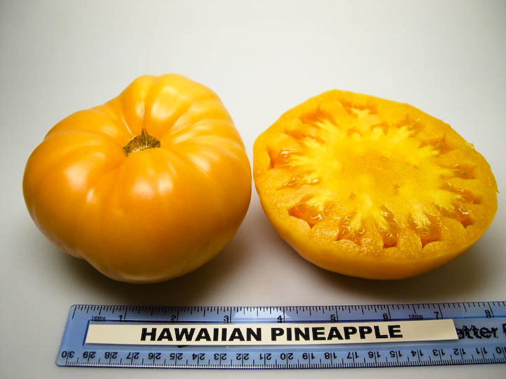 Photo: Hawaiian Pineapple.