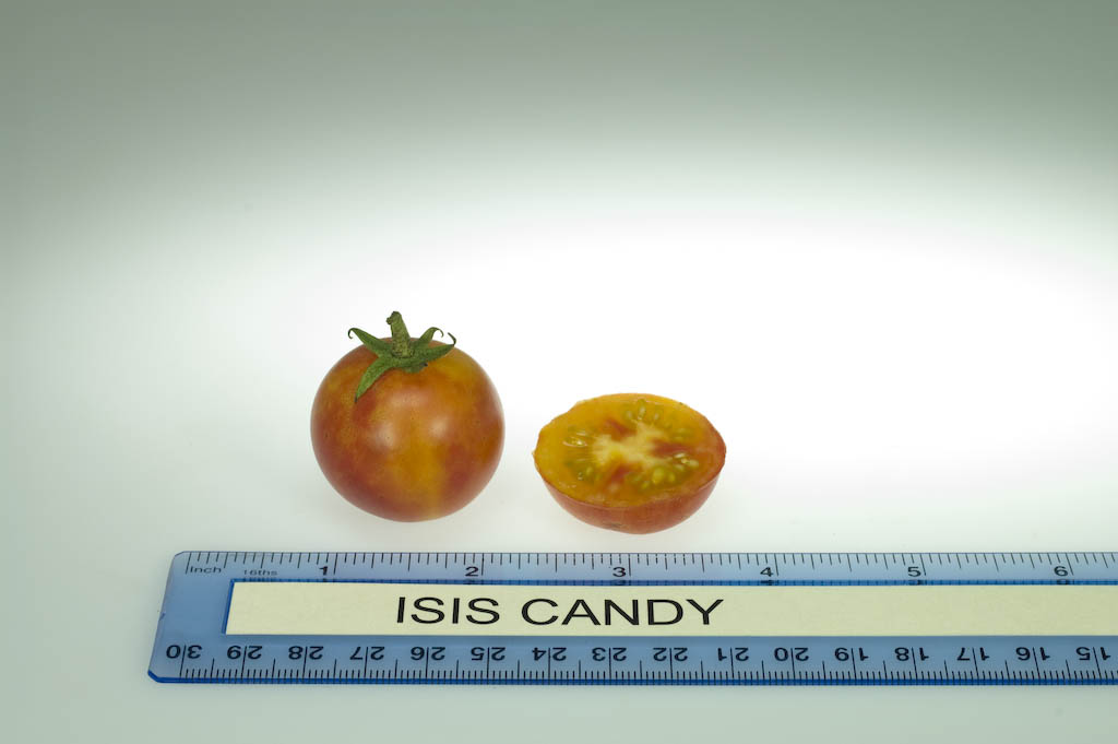 Photo: Isis Candy.
