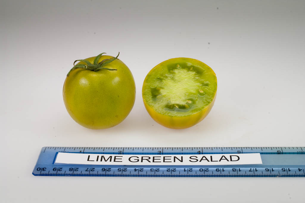 Photo: Lime Green Salad.