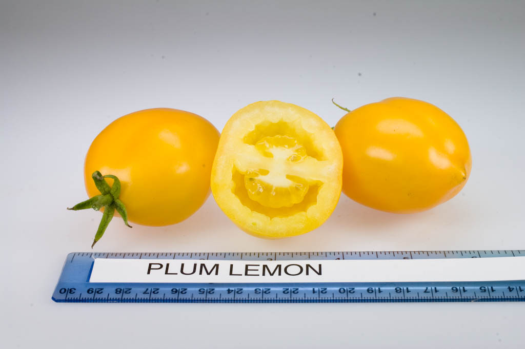 Photo: Plum Lemon.