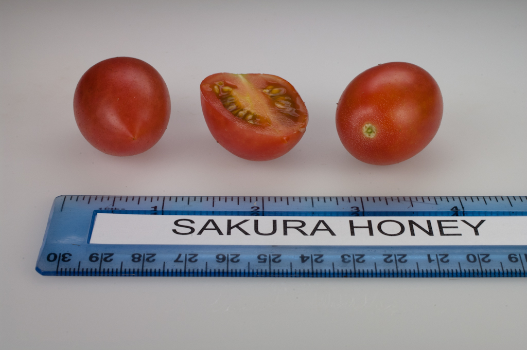 Photo: Sakura Honey.