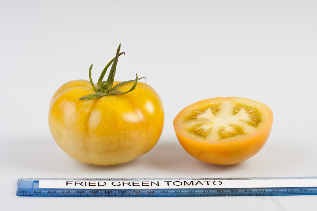Photo: Fried Green Tomato.