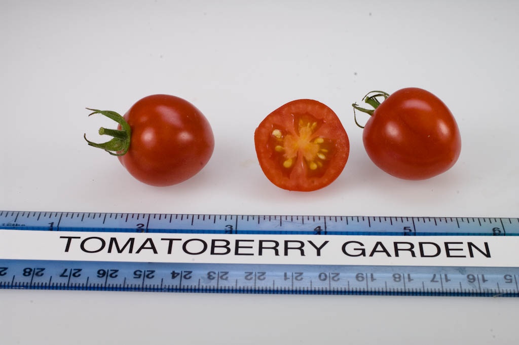Photo: Tomatoberry Garden.