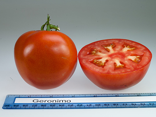 Photo: Geronimo tomato.