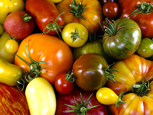 Photo: specialty tomato assortmento.