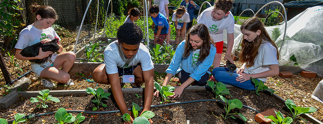 Photo: Summer camp at the Montclair Community Farm.